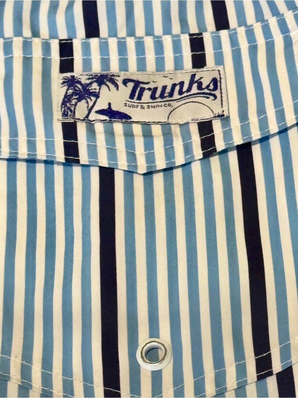 Trunks Surf & Swim Co. Light Blue & White Stripe Swim Trunks